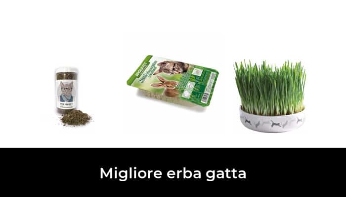 Dreamies Erba Gatta Cremosa 11x4x10g | Snack Per Gatti | Con Taurina | Senza Zuccheri Aggiunti - Foto 13