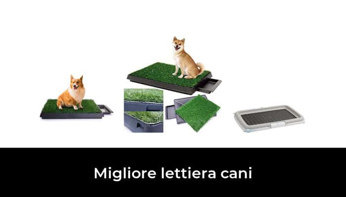 Di Tutto Per Tutti® Lettiera Tappetino Toilette WC per Cani Gatti Sostituisce i Panni Assorbenti Antibatterico ed Antiodore Grande 67 X 42 X 5 CM Di Tutto Per Tutti® Lettiera Tappetino Toilette WC per Cani Gatti Sostituisce i Panni Assorbenti Antibatterico ed Antiodore Grande 67 X 42 X 5 CM