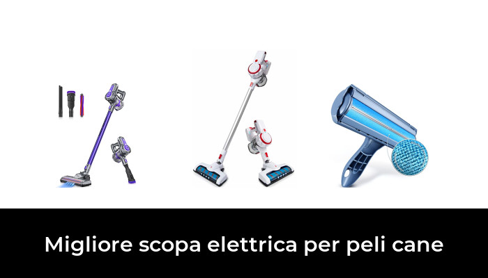 كافتيريا نتيجة طحين scopa elettrica per peli cane amazon - sayasouthex.com